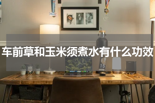 车前草和玉米须煮水有什么功效