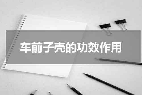 车前子壳的功效作用