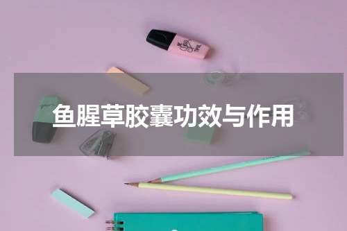 鱼腥草胶囊功效与作用