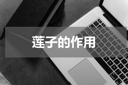 莲子的作用