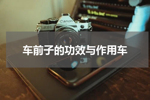 车前子的功效与作用车