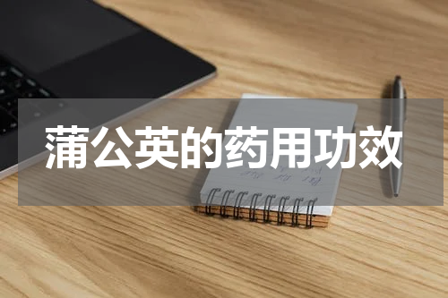 蒲公英的药用功效