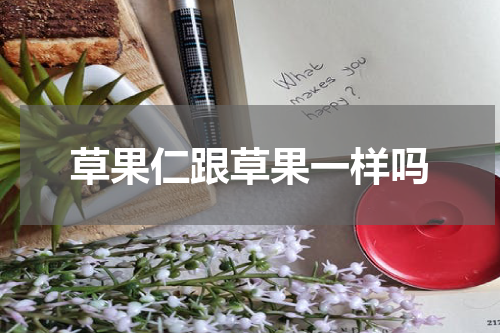 草果仁跟草果一样吗