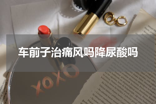 车前子治痛风吗降尿酸吗