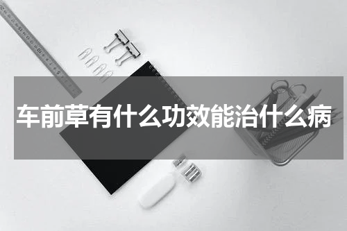 车前草有什么功效能治什么病