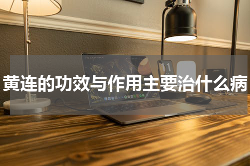 黄连的功效与作用主要治什么病