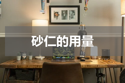 砂仁的用量