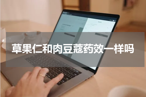 草果仁和肉豆蔻药效一样吗