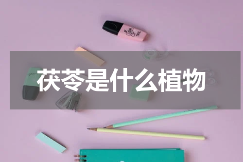 茯苓是什么植物