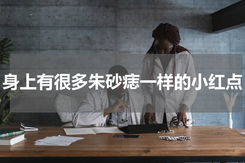身上有很多朱砂痣一样的小红点