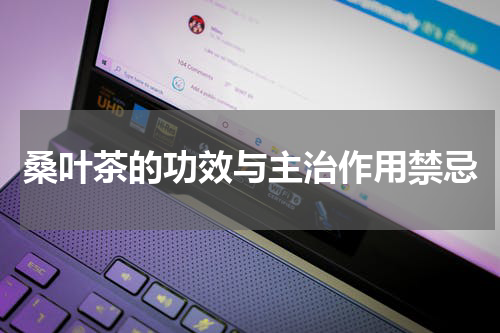 桑叶茶的功效与主治作用禁忌