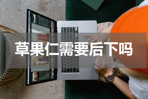 草果仁需要后下吗