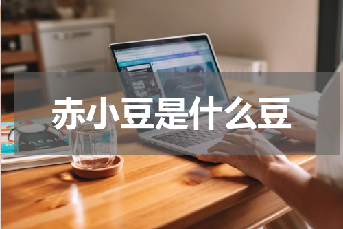 赤小豆是什么豆
