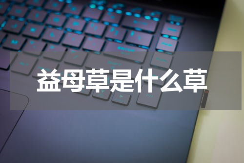 益母草是什么草