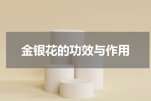 金银花的功效与作用