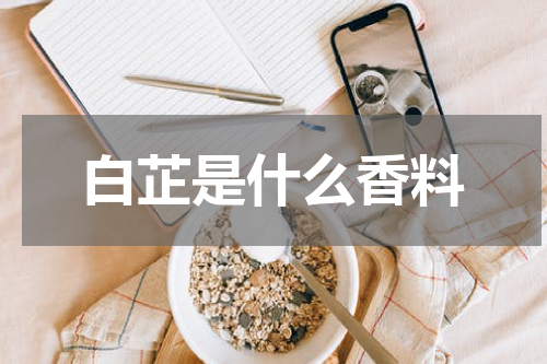 白芷是什么香料