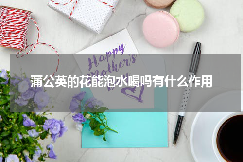 蒲公英的花能泡水喝吗有什么作用