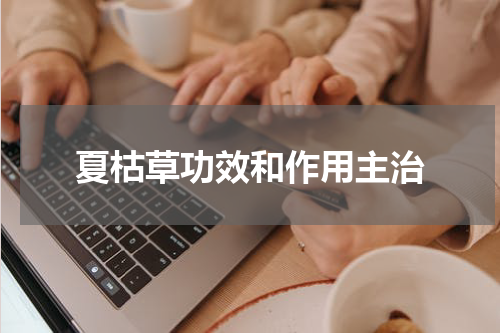 夏枯草功效和作用主治