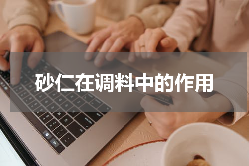 砂仁在调料中的作用