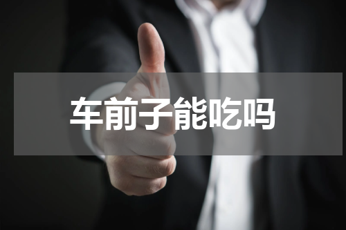 车前子能吃吗
