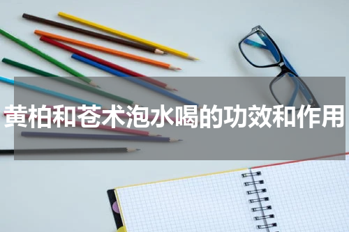 黄柏和苍术泡水喝的功效和作用