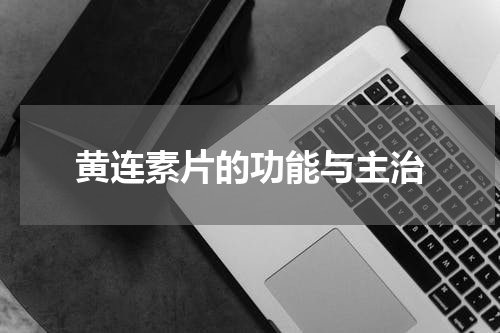 黄连素片的功能与主治
