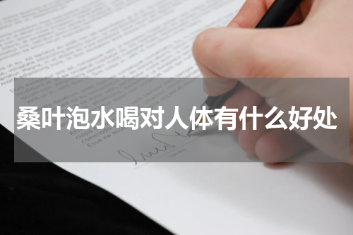 桑叶泡水喝对人体有什么好处