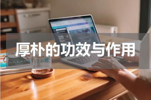 厚朴的功效与作用