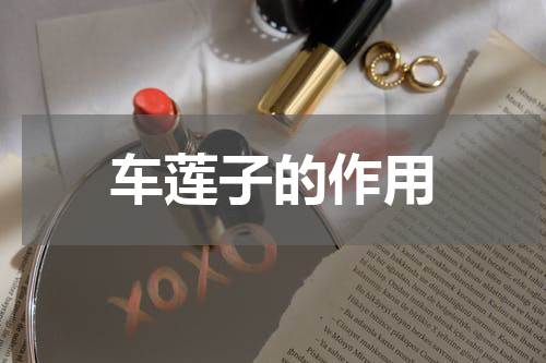 车莲子的作用