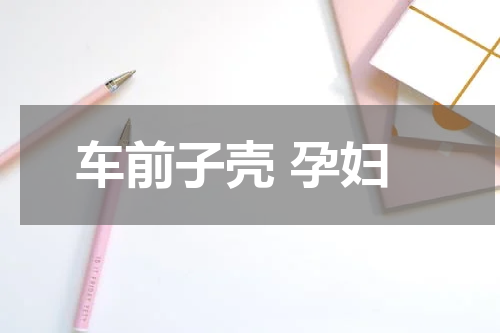 车前子壳 孕妇