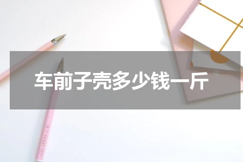 车前子壳多少钱一斤