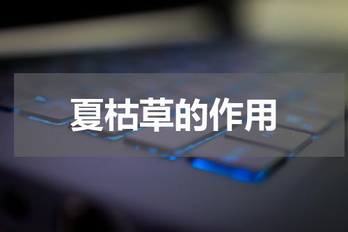 夏枯草的作用