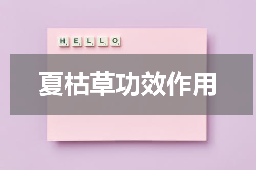 夏枯草功效作用