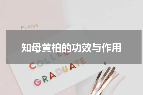 知母黄柏的功效与作用