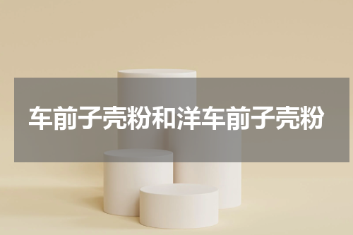 车前子壳粉和洋车前子壳粉