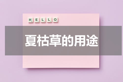 夏枯草的用途