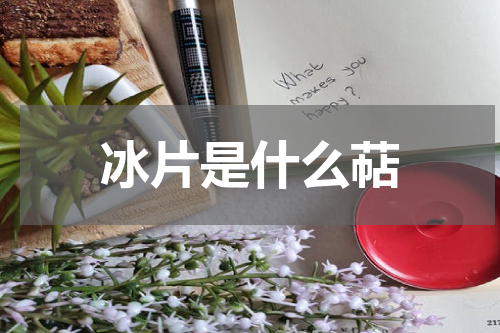 冰片是什么萜