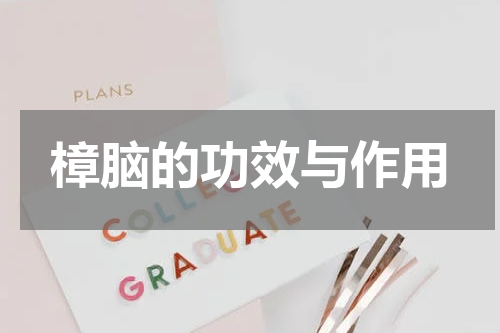 樟脑的功效与作用