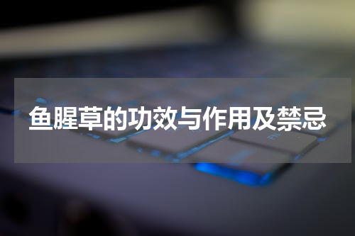 鱼腥草的功效与作用及禁忌