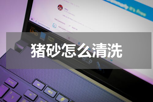 猪砂怎么清洗