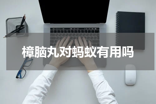 樟脑丸对蚂蚁有用吗