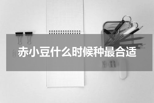 赤小豆什么时候种最合适