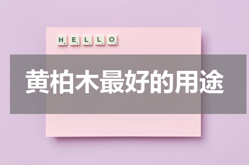 黄柏木最好的用途