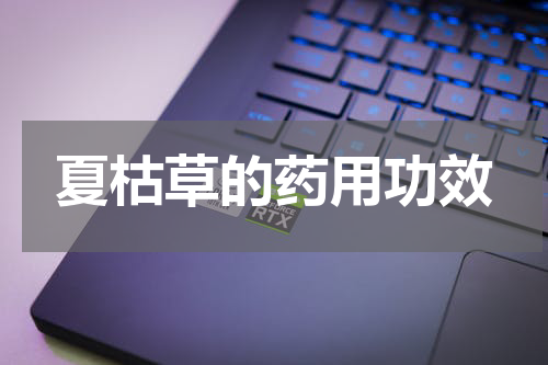 夏枯草的药用功效