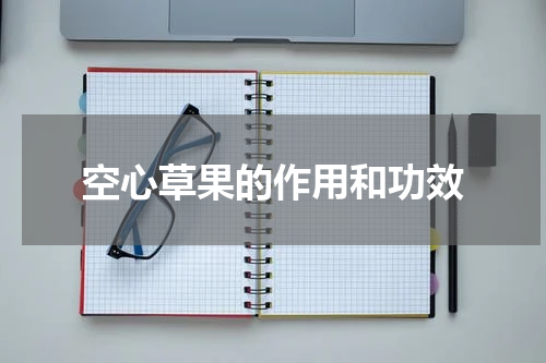 空心草果的作用和功效