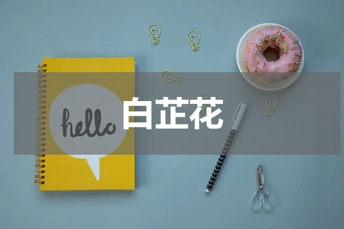 白芷花