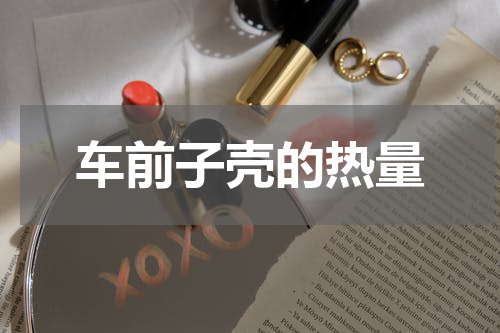 车前子壳的热量