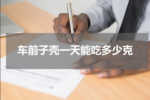 车前子壳一天能吃多少克