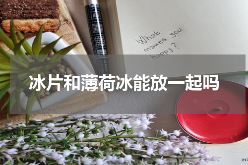 冰片和薄荷冰能放一起吗