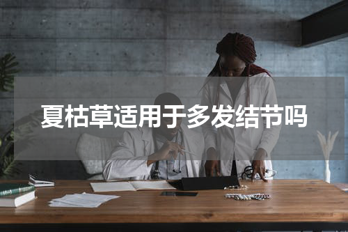 夏枯草适用于多发结节吗